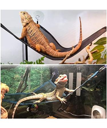 QUUPY 2 Reptile Hammock Set Triangle Breathable Net Breathable Mesh Lizard hammock for Large and Small Bearded Dragons Anoles Geckos Lizards or Snakes 33x33x48cm Black - Buy Online on SooperMarket.com