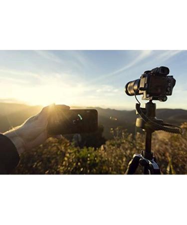 Syrp Genie Mini II: Motorised Camera Slider for Motion Filming & Photography - App Controlled - Buy Online on SooperMarket.com
