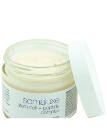 Somaluxe Collagen Dream Duo: Youthful Stem Cell Face Moisturizer & Lip Collagen Set for Softer Skin Shop Internationally - Buy Online on SooperMarket.com