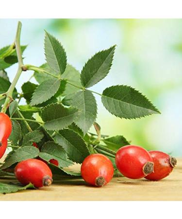 1kg Organic Rosehip Powder - Certified Organic from Sun-Ripened Fruits | Finely Ground Superfood (1000g) - Buy Online on SooperMarket.com