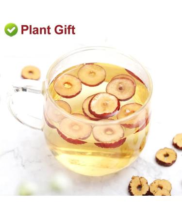 Flower 2 (80G-Red Dates) - Buy Online on SooperMarket.com
