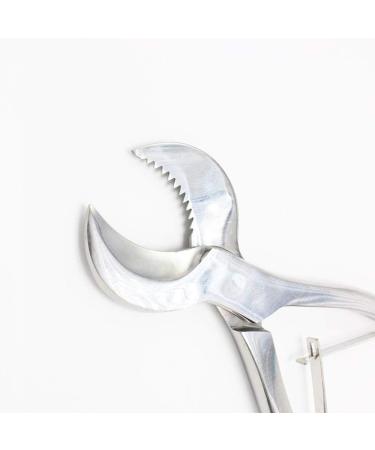 Dental Pliers Plaster Nippers Cutter - Cow Horn Jaws, Serrated Blade, Spring Action (Large) - Hbmol - Buy Online on SooperMarket.com