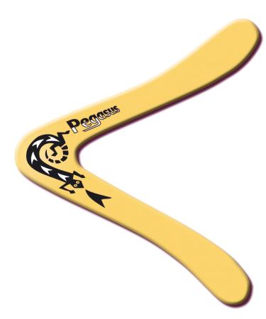 G nther flight game G nther flight game Paul G nther 1374 - Bumerang Pegasus B classic shape about 25 cm high out of unbreakable polypropylene flies about 18 - 20 m away