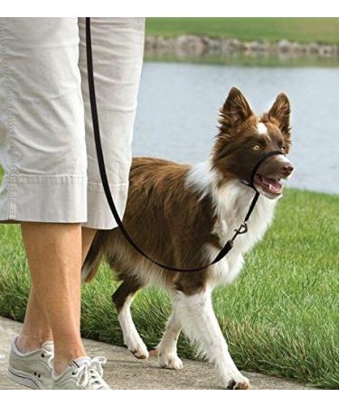 PetSafe Easy Walk Head Collar M Black - Gentle Training Solution for Dogs - Buy Online on SooperMarket.com