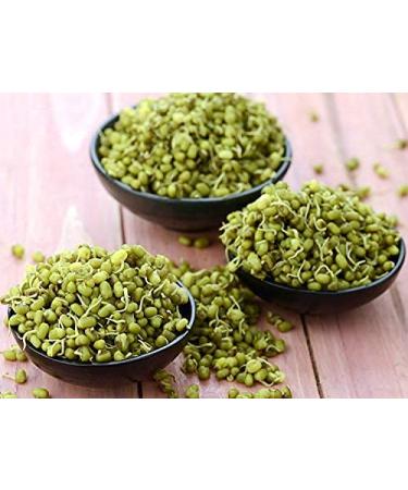 Jiva Organics 4 LB Large Bag Organic Mung Beans - Green Moong Beans - Buy Online on SooperMarket.com