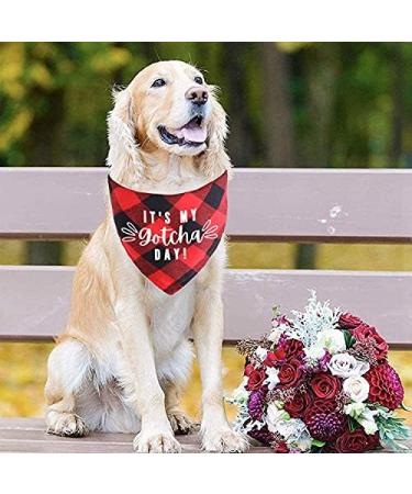 Dog Birthday Bandana Gotcha Day Pet Scarf Dog Adoption Bandana for Boys and Girls Dogs Cats Scarf Bibs Accessories for Pet Birthday Gift (Red) - Buy Online on SooperMarket.com