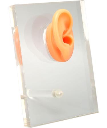 Silicone Right Ear Model with Fine Details - Ideal for ENT Hospitals - Buy Online on SooperMarket.com