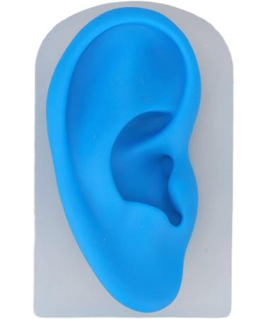Flexible Silicone Ear Model for Hearing Amplifier Display - Professional Student Tool - Buy Online on SooperMarket.com