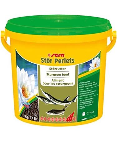 Sera Sturgeon Pellets Nature 3.8 L Premium Natural Staple Food for Small Sturgeons (2 kg) - Buy Online for International Shipping - Buy Online on SooperMarket.com
