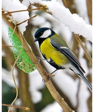 Erdtmanns 20 Fat Balls - 1.6 kg Polybag for Wild Birds | Premium Bird Feed - International Shipping - Buy Online on SooperMarket.com