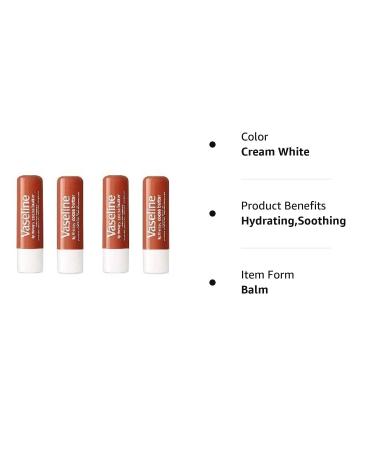 Vaseline Lip Therapy Stick Cocoa Butter Variety Pack - 4 Pack 4.8g | Petroleum Jelly Lip Balm - Buy Online on SooperMarket.com