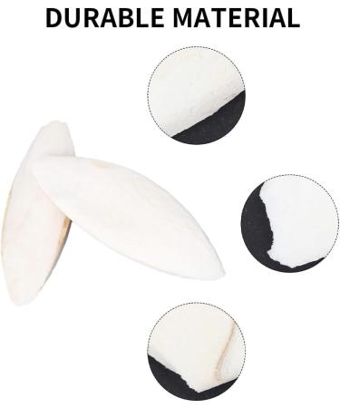 5pcs Small Cuttlefish Bone for Parrots | Natural Calcium Chew Toy for Birds - Buy Online on SooperMarket.com