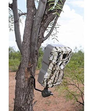 HME Products Economy Trail Camera Holder - Olive, 6.50x5.24x1.38 - Buy Online on SooperMarket.com
