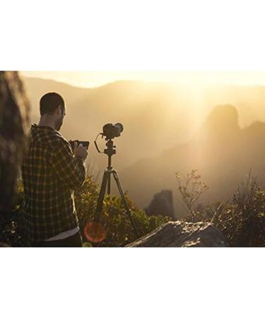 Syrp Genie Mini II: Motorised Camera Slider for Motion Filming & Photography - App Controlled - Buy Online on SooperMarket.com