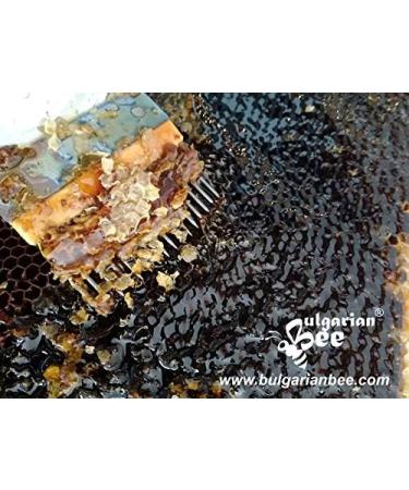 900g Black Forest Bee Oak Honeydew: Pure Honey from Aphids - Buy Online on SooperMarket.com