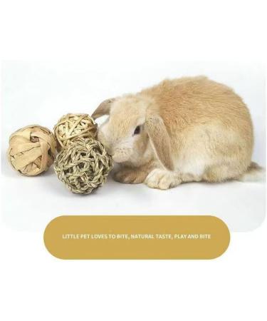 Camiter 9-Piece Chewing Toy Set for Small Animals | Hamsters Rabbits Guinea Pigs & More - Durable Chew Cases & Cube Toys - Buy Online on SooperMarket.com