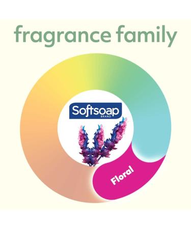 Softsoap Antibacterial Sensitive Rosewater & Aloe Hand Soap 11.25 Oz - 6 Pack - Buy Online on SooperMarket.com