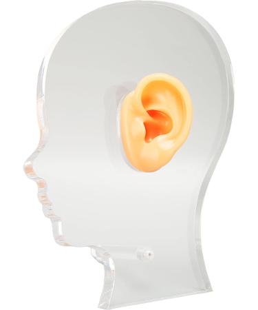Flexible Waterproof Fake Ear Model for Hospital - Professional & Lifelike Display Mould - Buy Online on SooperMarket.com