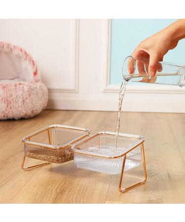 HOHXFYP Elevated Cat Bowls 15 Degree Tilt Stable Raised Cat Food Water Bowl Easily Removable Transparent Cat Bowls with Raised Bowl Bottom for Cats Dogs(S-Gold) Small Gold - Buy Online on SooperMarket.com