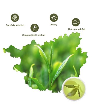 Buy Chinese Needle Ku Ding Tea - 100G Bitter Green Tea | Premium Loose Leaf for Health - Buy Online on SooperMarket.com
