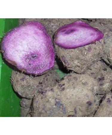 Seelans Fresh Rasavalli Kilangu 1Kg | PURPLE YAM (Ube) | 100% Fresh Fruit | Helps to Reduced Blood Sugar & Blood Pressure | Highly Nutritious | Rich in Antioxidants |Srilankan Origin Next Day Shipping