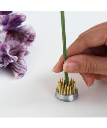 Wazakura Mini Ikebana Kenzan Japanese Flower Holder Set - Made in Japan | Round Square Brass Floral Arranging Pin Frog - 1(24mm) - Buy Online on SooperMarket.com