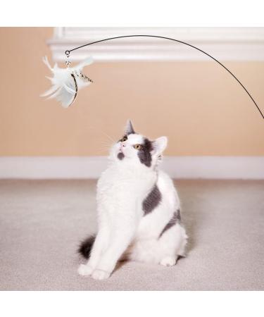 DONGKER 8pcs Cat Rod Replacement Feathers Interactive Cat Replacement Feathers With Bell for Cat Wand Toys Chasing Toys - Buy Online on SooperMarket.com