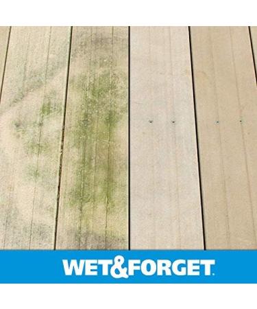 Buy Wet & Forget Moss & Mold Remover - Multi-Surface Outdoor Cleaner Concentrate (64 oz 2 Pack) - Effective Algae Stain Solution | Fast International Shipping - Buy Online on SooperMarket.com