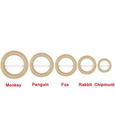100PCS/Bag Dental Orthodontic Intraoral Elastic Rubber Bands Chipmunk Orthodontic Supply for Braces(1/8" 3.5 Oz) - Buy Online on SooperMarket.com