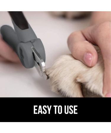 Professional Pet Nail Clippers and File - Stainless Steel - Safety Guard - Comfort Handle - Dog and Cat Trimmer - Large Gray - Buy Online on SooperMarket.com