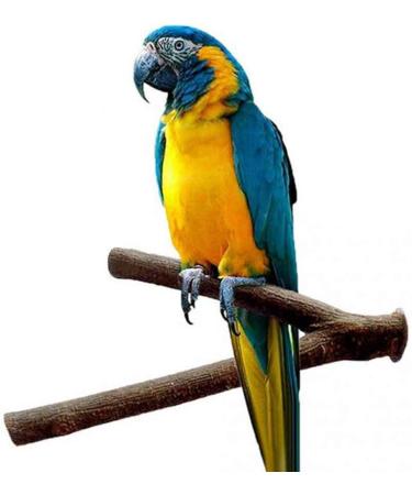 Natural Wood Fork Bird Perch Stand Toys | 3PCS Bird Cage Accessories for Budgies, Cockatiels, Conure | Platform for Lovebirds, Hamster, Rat - Buy Online on SooperMarket.com