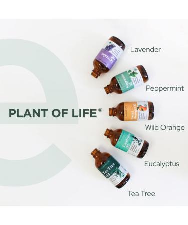 Plant of Life Essential Oil - 100% Pure and Natural - Therapeutic Grade Essential Oil with Dropper (Lavender 2 oz (60mL)) - Buy Online on SooperMarket.com