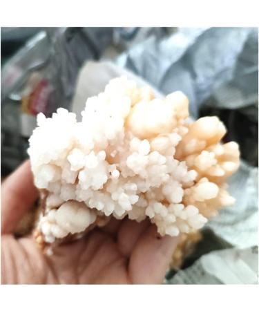 Rare Natural Raw Quartz Crystal Cluster Stones Crystal Point Specimen Home Decoration Raw Crystals Beautiful Gift (Size : 40-70g) - Buy Online on SooperMarket.com