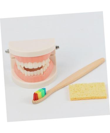 Frcolor Early Education Tooth Brushing Toy Set - Fun Children's Educational Toys for Teething & Dental Hygiene - Buy Online on SooperMarket.com