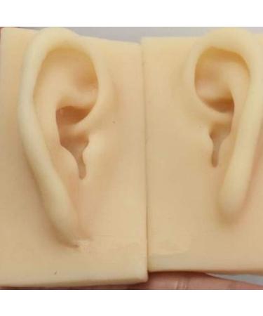 Human Ear Model Flexible Soft Silicone Imitation Real Ear Teaching Model -1 Pair Ear Mold Artificial Display Sample Educational Resources in Scienc - Buy Online on SooperMarket.com