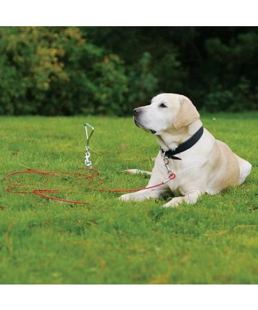 Rosewood Yard Accessories Stake-Out Spike - Durable and Versatile Outdoor Garden Tool - Buy Online on SooperMarket.com