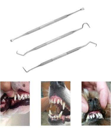 RHXWFDG 3 Pcs Pet Tooth Scaler Cleaning Kit Dog Dental Tooth Scaler Stainless Double Headed Tarter Remover Pet Dental Tools Pet Teeth Cleaning Tools for for Dogs Cats - Buy Online on SooperMarket.com
