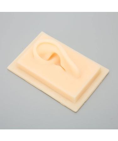 Silicone Ear Model Vivid Shape Durable Wearable Comfortable Soft Human Ear Model Glossy Texture Safe Practical for Teaching Demonstration(Left) - Buy Online on SooperMarket.com