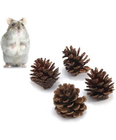 ACLUYSKA 21PCS Hamster Guinea Pig Toys | Small Animal Activity Chew Accessories | Apple Wood Ladder Bell Roller | Teeth Care for Dwarf Hamsters, Rats, Chinchillas, Gerbils, Bunnies - Buy Online on SooperMarket.com