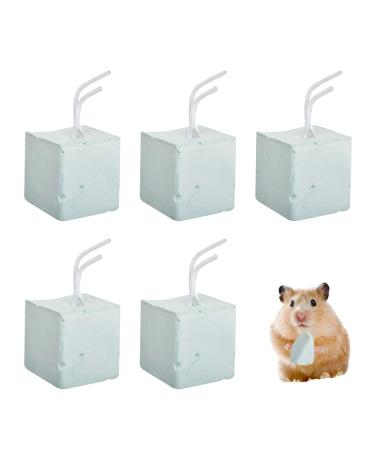 XKSOCT 5 pieces tooth grinding stone for hamsters volcanic stone molar stone for small pets rabbits chinchillas guinea pigs