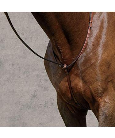 Suffolk by Dover Saddlery Raised Standing Martingale, Pony-P/S, Brown
