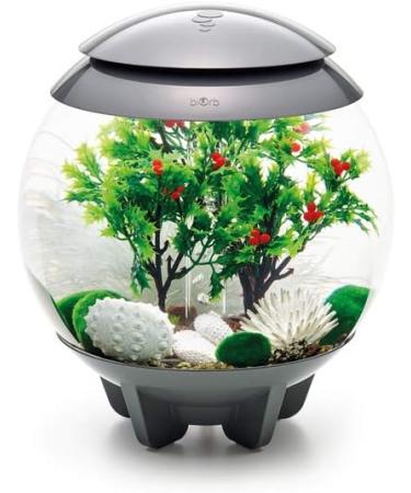 Biorb 55025 Decor Set 15L - Realistic Aquatic Plants Roots & Stones for Fresh & Saltwater Aquariums | Winter Collection - Buy Online on SooperMarket.com