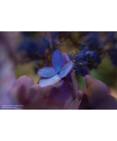 Lensbaby 46mm Macro Filter Kit - Explore Close-Up Photography - Buy Online on SooperMarket.com