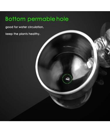 Capetsma Aquarium Plant Pot Glass - 1 Pack with 2 Suction Cups for Stunning Fish Tank Decoration - International Shipping Available - Buy Online on SooperMarket.com