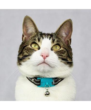 Kittyrama Cat & Kitten Neck Bands | As Seen in Vogue | Vet Approved Breakaway Hypoallergenic | Explore Stylish Havana & More - Buy Online on SooperMarket.com