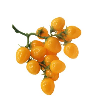 Ciieeo Simulated Small Tomatoes Models Fruit Photo Prop Faux Cherry Tomatoes Ornament Lifelike Fruit Fake Cherry Tomatoes for Decor Home Fruit Ornament Artificial Foam Fake Fruit Yellow 4.00X2.00X2.00CM
