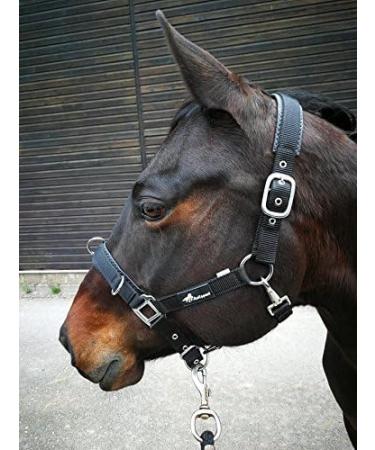 JF-Reitsport Cavesson Pro 2021 - 4-Way Adjustable Soft & Shock-Absorbing Padded for Warmbloods | International Shipping Available - Buy Online on SooperMarket.com