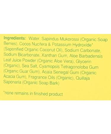 Rebel Green Natural Laundry Detergent - Organic, Hypoallergenic, Peppermint & Lemon Scent, 64 Loads (64 Fl Oz) - Buy Online on SooperMarket.com