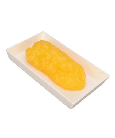 Jauarta Human Body Fat Replica 1lb Human Fatty Tissue Demonstration Model for Nutritionist Science Course
