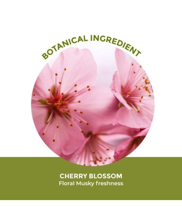Yves Rocher Cherry Blossom cherry bloom Eau de toilette for Women Spray 100 ml./3.3 fl.oz. - Buy Online on SooperMarket.com